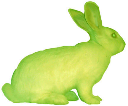 cesar85g.jpg