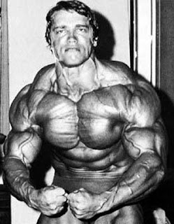 Schwarzenegger+Dieta+Simple.jpg