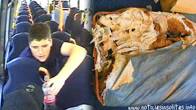 come%2Basiento%2Bautobus.png