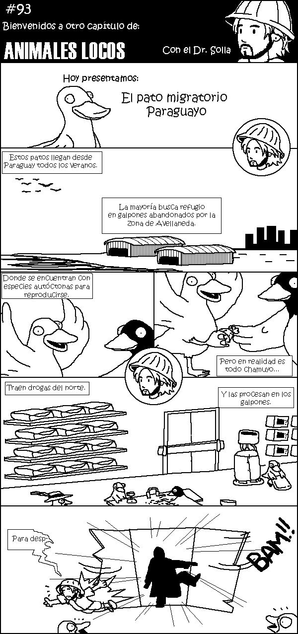 93_animaleslocos4_1.png