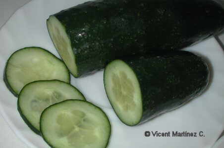20060627091603-pepino.jpg
