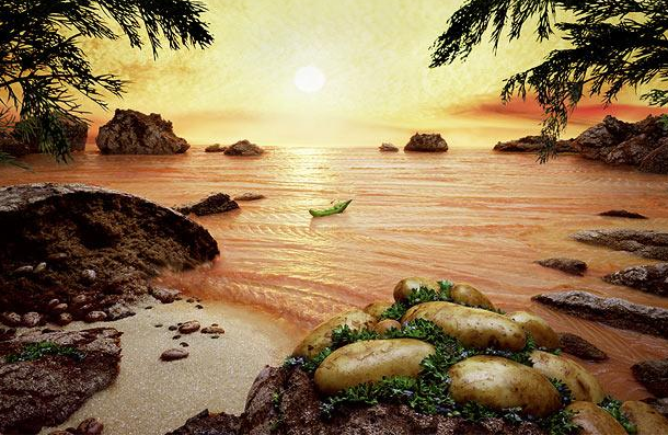 food_landscapes_sea_of_salmons.png