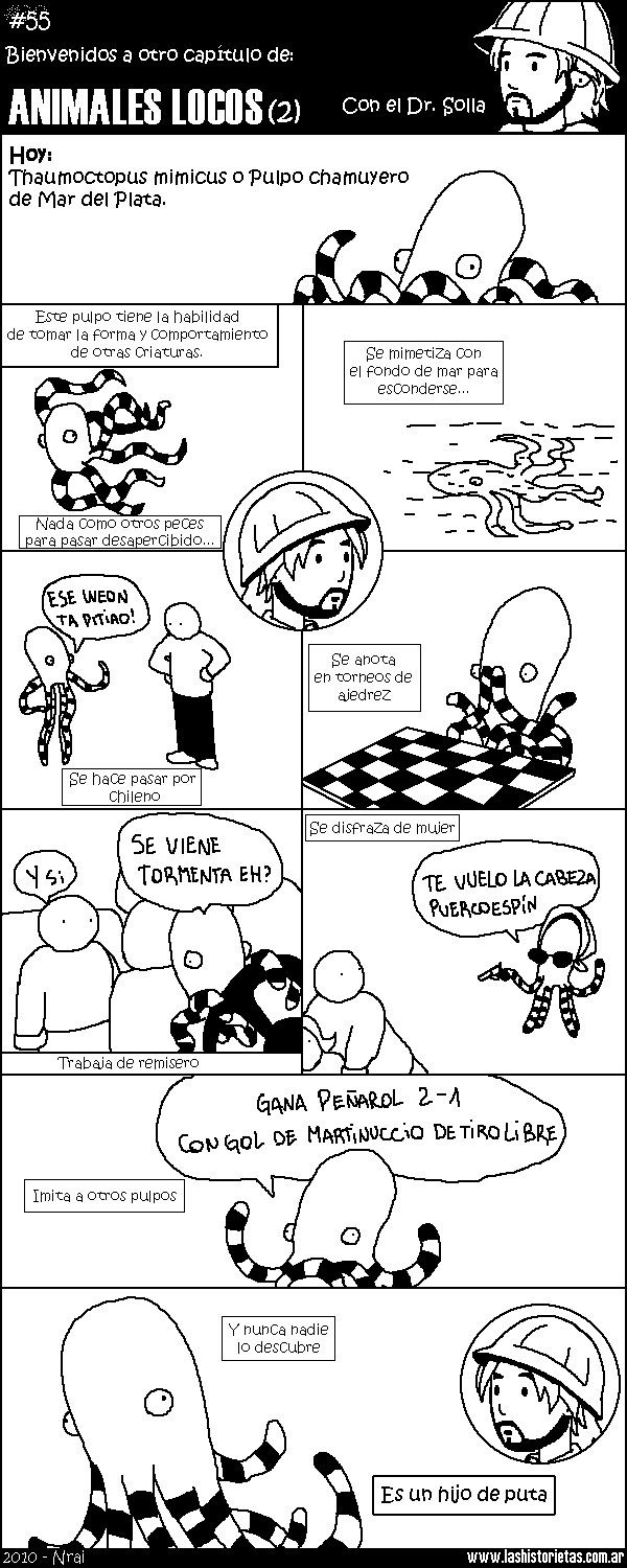 55_animaleslocos2.png