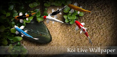 koi-live-wallpaper-todoparamoviles.jpg