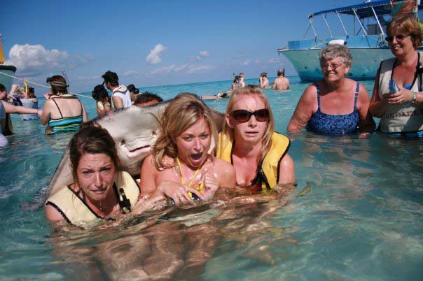 rayamanta-jpg-141129-jpg_204659.jpg