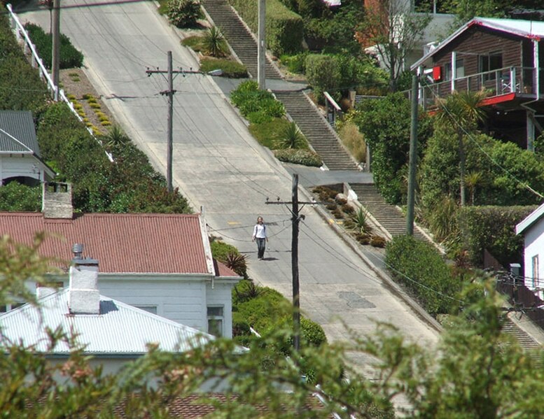 777px-BaldwinStreet_Descending_Tourist.jpg