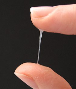 250px-Cervical_mucus1.jpg