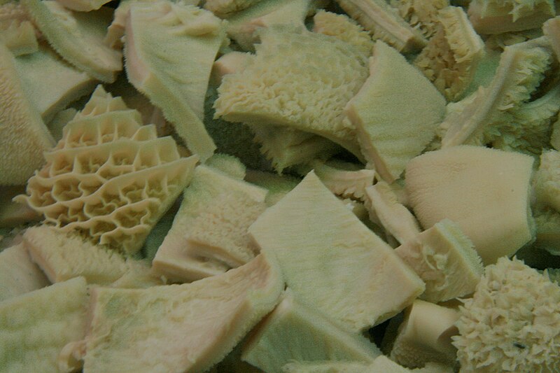 800px-ZCallos_Primera.jpg