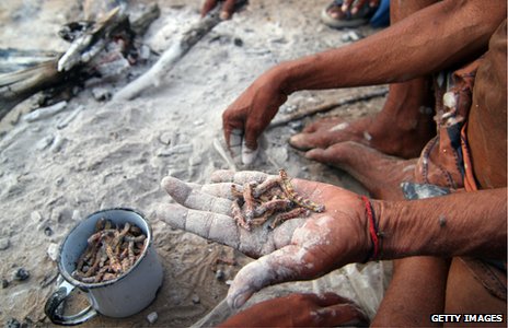 120801121955__61658296_peopleeatingcaterpillarsthinkstock.jpg