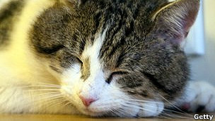 121129184645_sleep_disorder_strange_behaviour_304x171_getty.jpg