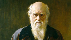 130327092759_darwin_304x171_afp_nocredit.jpg