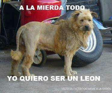 ed41ec8c4bd6ea4a15e9b700b999b2e06fcdb0b5e75f69dbe5d66c3cec4c2d236g.jpg